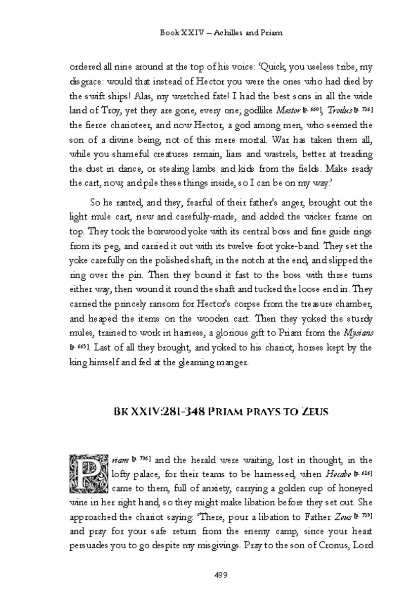 The Iliad - Page 493